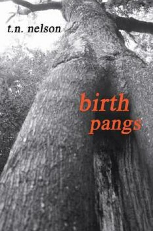 Cover of Birth Pangs