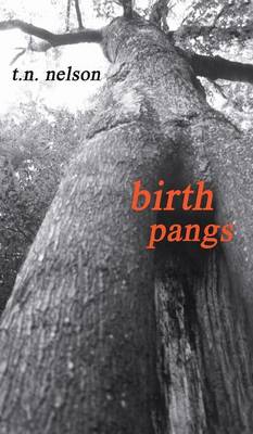 Book cover for Birth Pangs