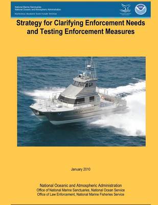 Book cover for Strategy for Clarifying Enforcement Needs and Testing Enforcement Measures