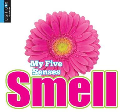 Book cover for Smell