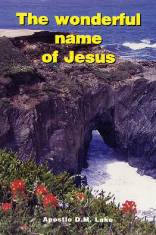 Cover of The Wonderful Name of Jesus