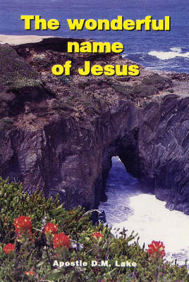 Book cover for The Wonderful Name of Jesus