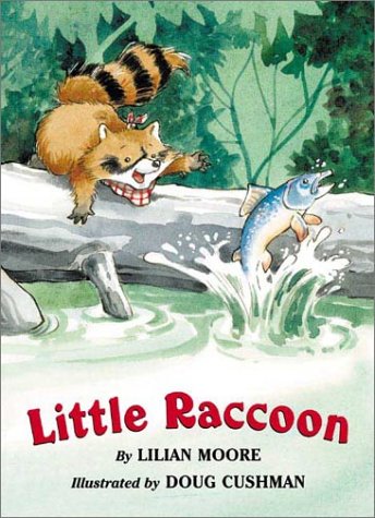 Book cover for Little Raccoon