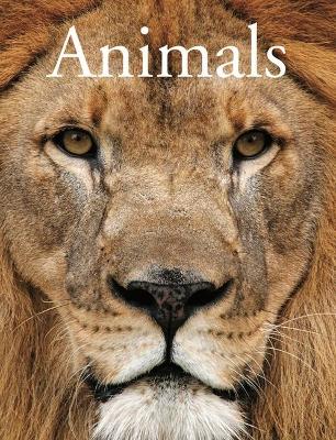 Book cover for Animals