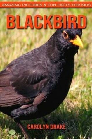 Cover of Blackbird