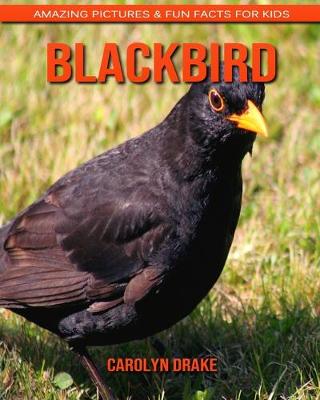 Book cover for Blackbird