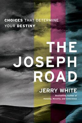 Book cover for The Joseph Road