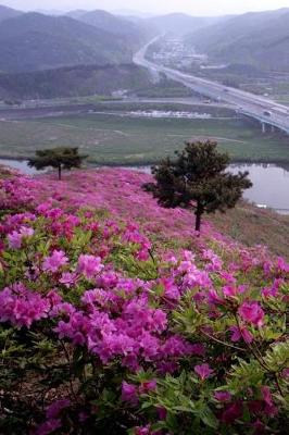 Book cover for Pink Rhododendron Flowering Bushes on a Hillside Nature Journal