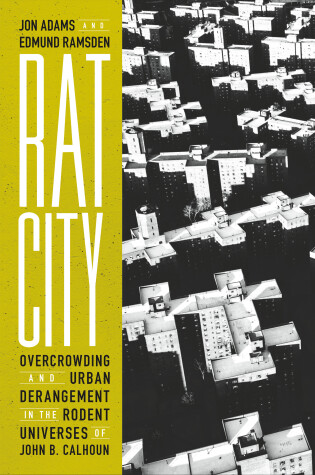 Book cover for Rat City