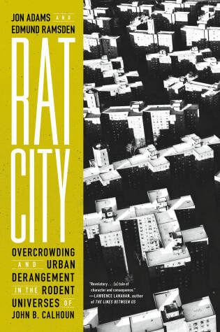 Cover of Rat City