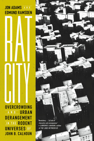 Book cover for Rat City