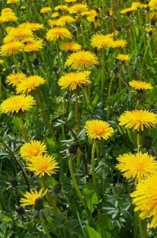 Cover of A Field of Yellow Dandelions, for the Love of Flowers