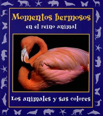 Book cover for Momentos Hermosos En El Reino Animal