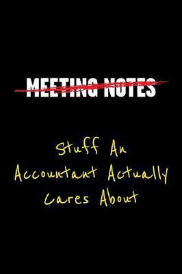 Book cover for Meeting Notes Stuff an Accountant Actually Cares about