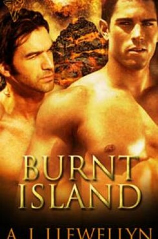 Cover of Burnt Island