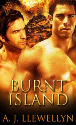 Book cover for Burnt Island