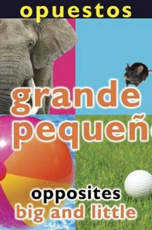 Cover of Opuestos: Grande Y Pequeño