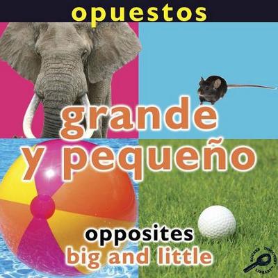 Book cover for Opuestos: Grande Y Pequeño