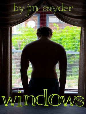 Book cover for Windows