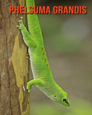 Book cover for Phelsuma Grandis