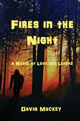 Book cover for Fires in the Night