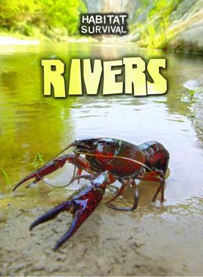 Book cover for Rivers