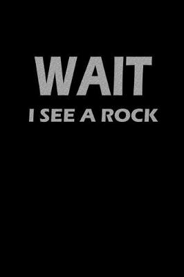 Book cover for Wait I see a rock