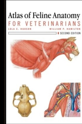 Cover of Atlas of Feline Anatomy For Veterinarians