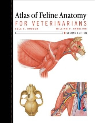 Cover of Atlas of Feline Anatomy For Veterinarians