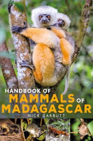 Cover of Handbook of Mammals of Madagascar