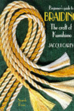 Cover of Beginner's Guide to Braiding