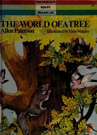 Book cover for Book of a Tree