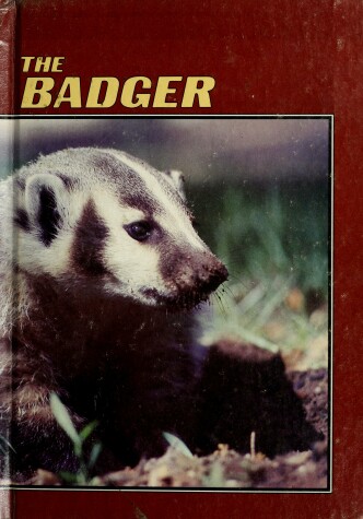 Book cover for Badger