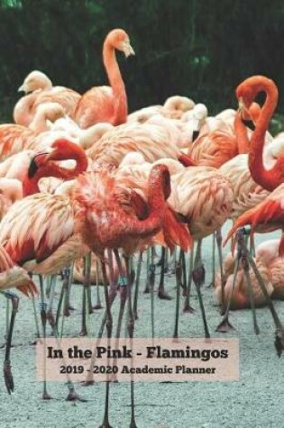 Cover of In the Pink - Flamingos 2019 - 2020 Academic Planner