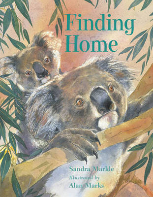 Book cover for Finding Home