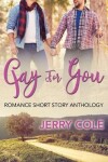 Book cover for Gay For You