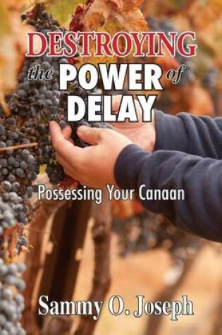 Cover of Destroying the Power of Delay