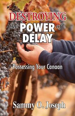 Book cover for Destroying the Power of Delay