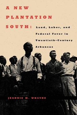 Book cover for A New Plantation South