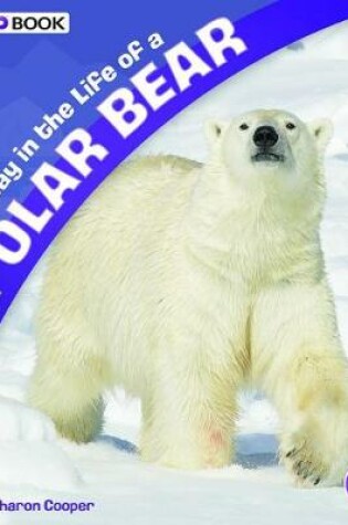 Cover of A Day in the Life of a Polar Bear: A 4D Book