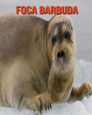 Book cover for Foca barbuda