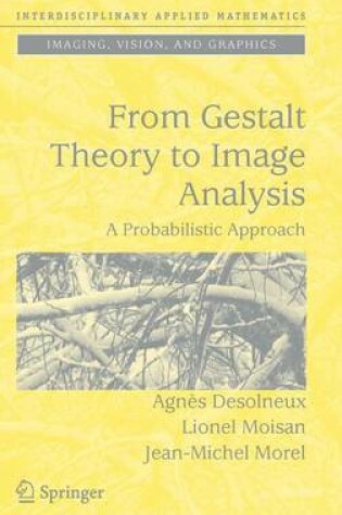 Cover of From Gestalt Theory to Image Analysis