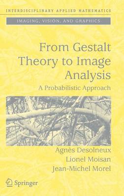 Book cover for From Gestalt Theory to Image Analysis