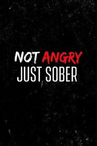 Cover of Not Angry Just Sober