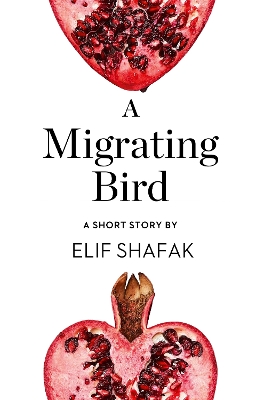 Book cover for A Migrating Bird