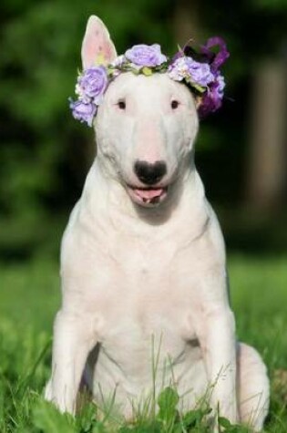 Cover of Bull Terrier