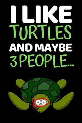 Book cover for I Like Turtles And Maybe 3 People...