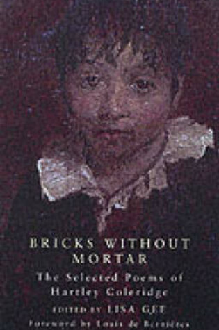 Cover of Bricks Without Mortar