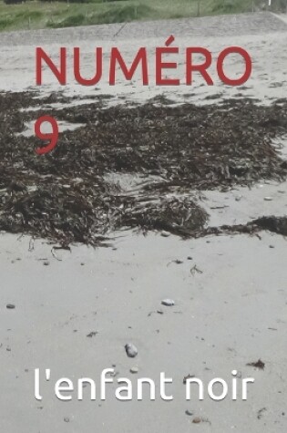 Cover of Numéro 9