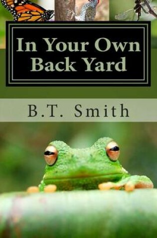 Cover of In Your Own Back Yard